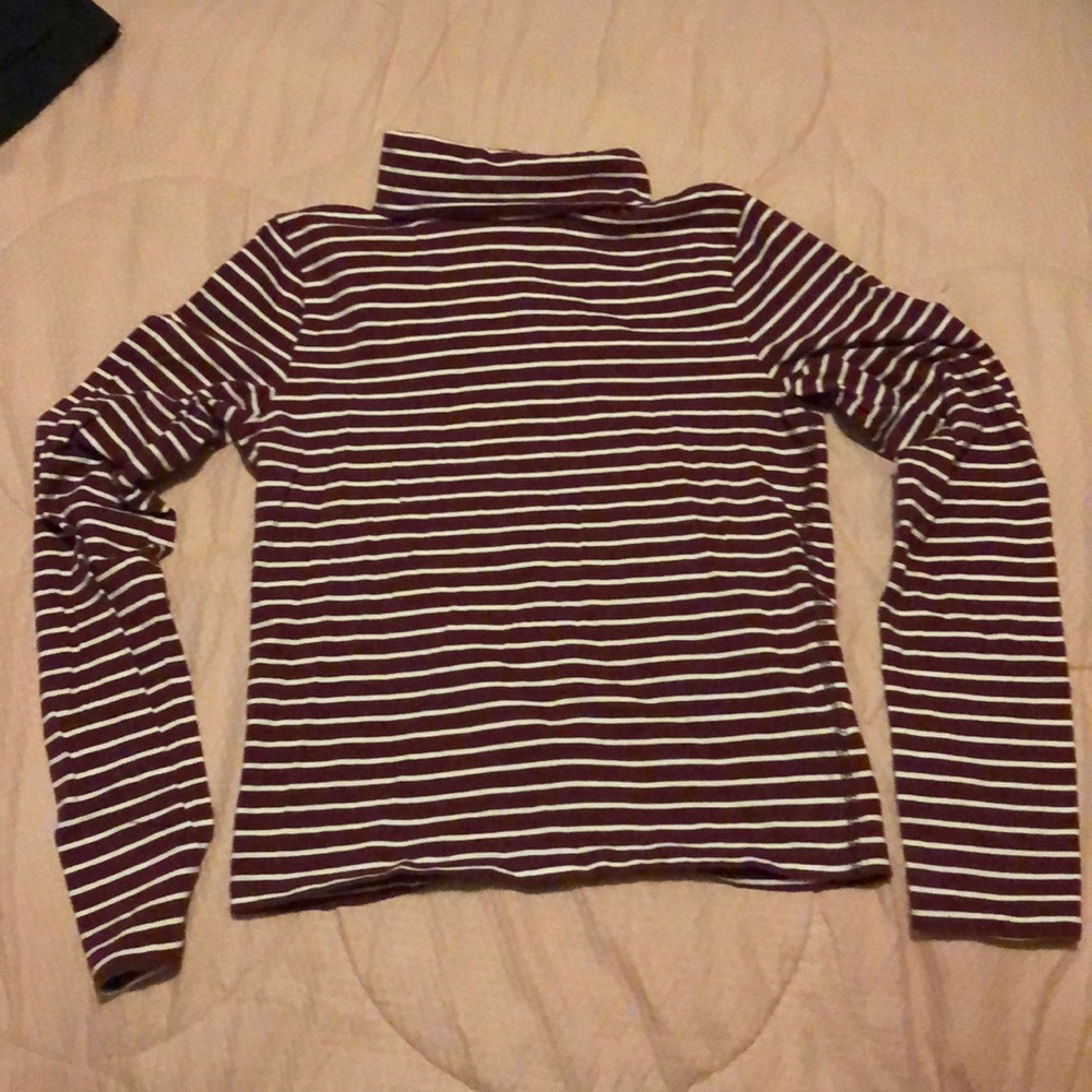 Crop turtleneck